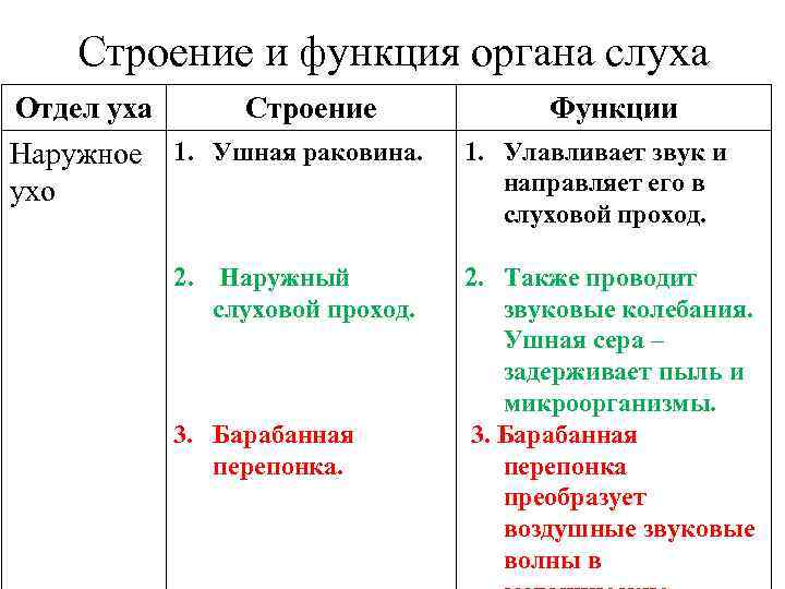 Число отделов органа слуха. Строение и функции органа слуха. Структура органа слуха таблица структура и функция. Отделы уха части функции.