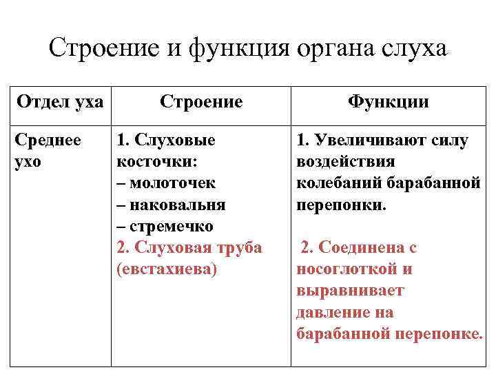 Среднее и внутреннее ухо функции