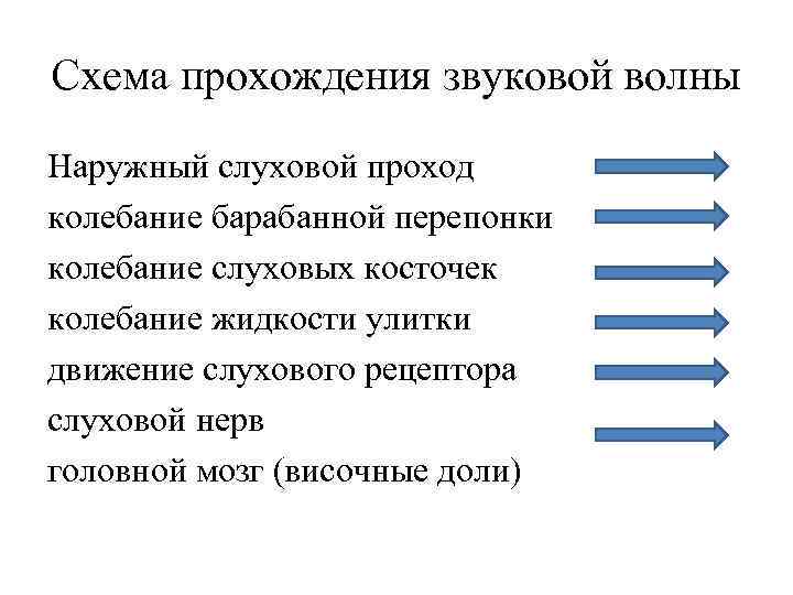 Схема прохождения звуковой волны Наружный слуховой проход колебание барабанной перепонки колебание слуховых косточек колебание