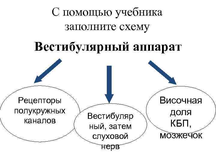 С помощью текста параграфа 50 учебника составьте схему взаимосвязей между компонентами