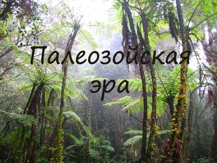 Палеозойская эра 
