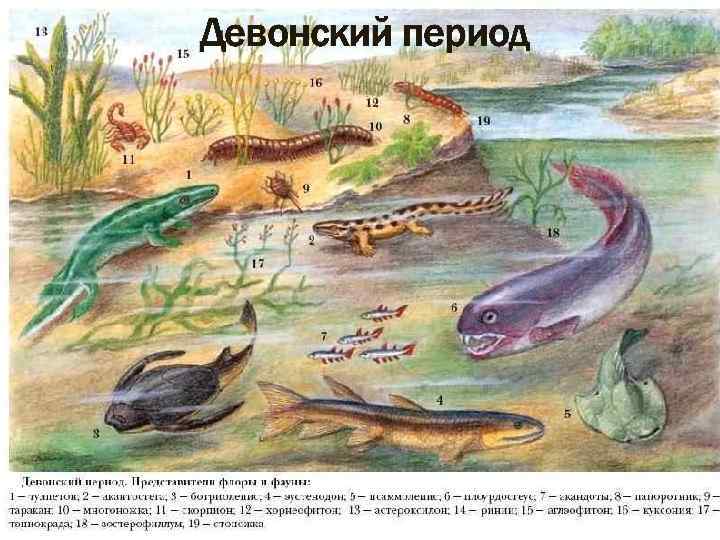 Девонский период 