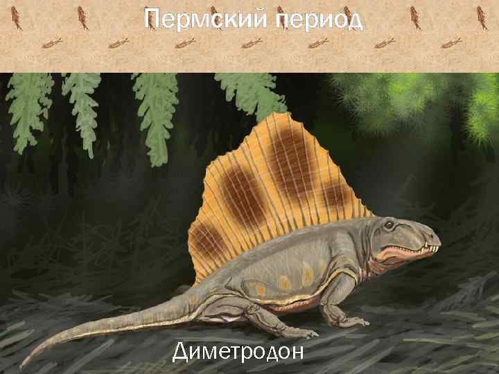 Пермский период Диметродон 