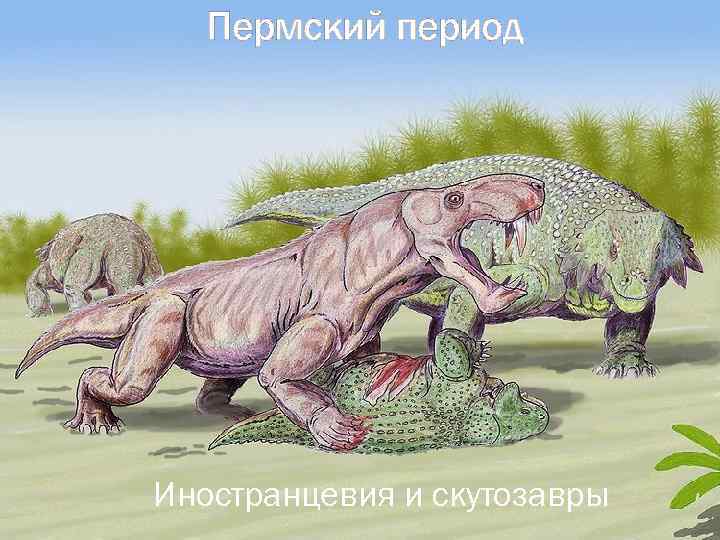 Пермский период Иностранцевия и скутозавры 