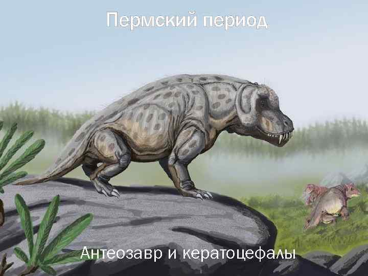 Пермский период Антеозавр и кератоцефалы 
