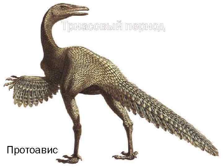 Триасовый период Протоавис 
