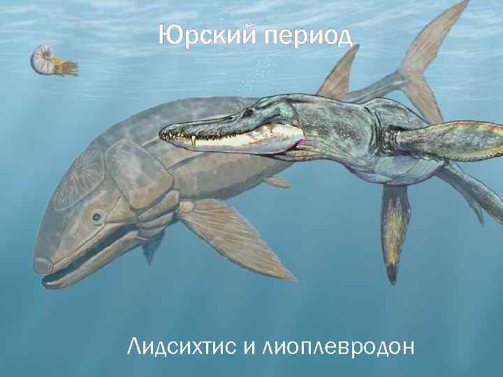 Юрский период Лидсихтис и лиоплевродон 