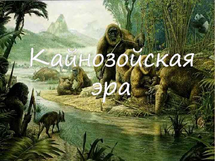 Кайнозойская эра 