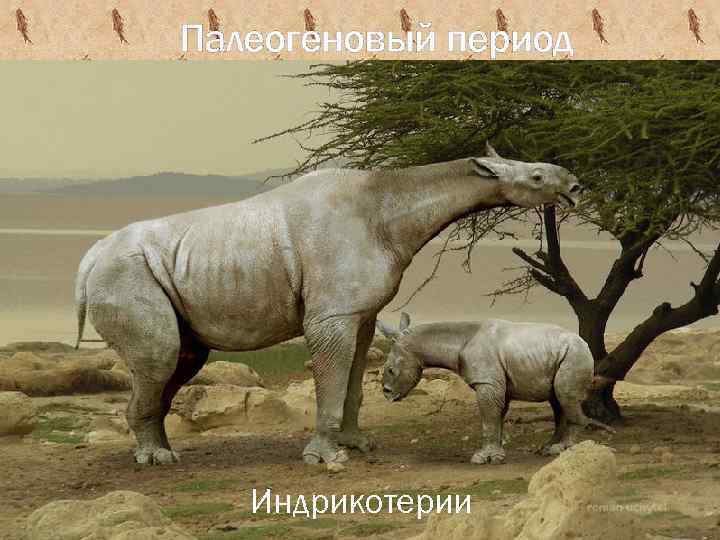 Палеогеновый период Индрикотерии 