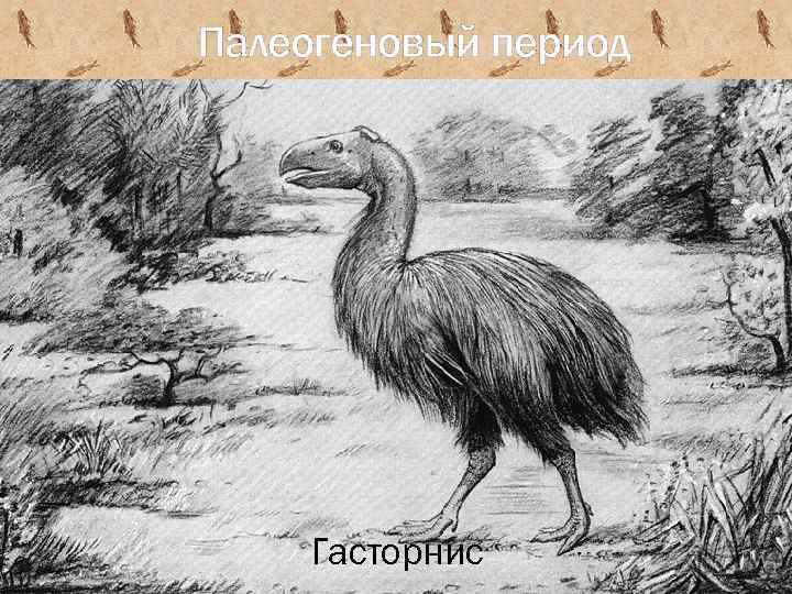 Палеогеновый период Гасторнис 