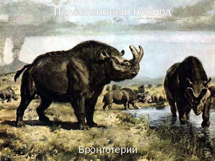 Палеогеновый период Бронтотерий 