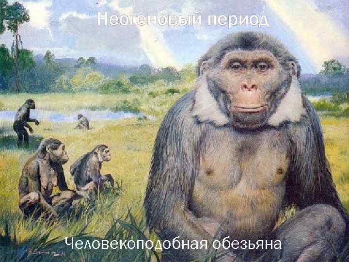 Неогеновый период Человекоподобная обезьяна 
