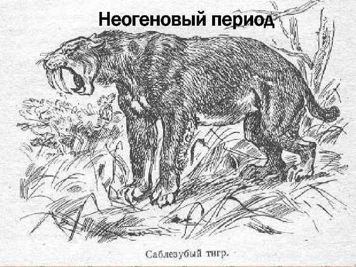 Неогеновый период 