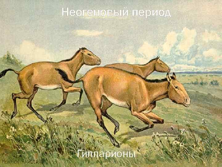 Неогеновый период Гиппарионы 