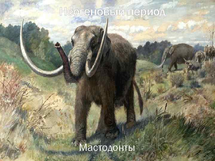Неогеновый период Мастодонты 