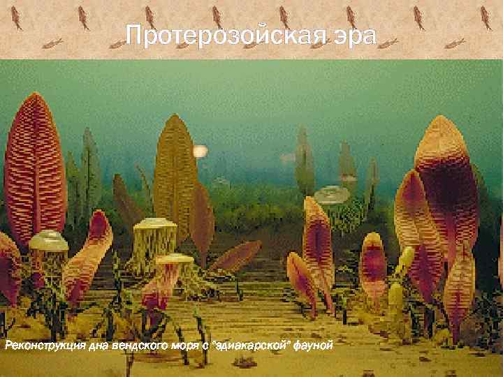 Протерозойская эра Реконструкция дна вендского моря с 