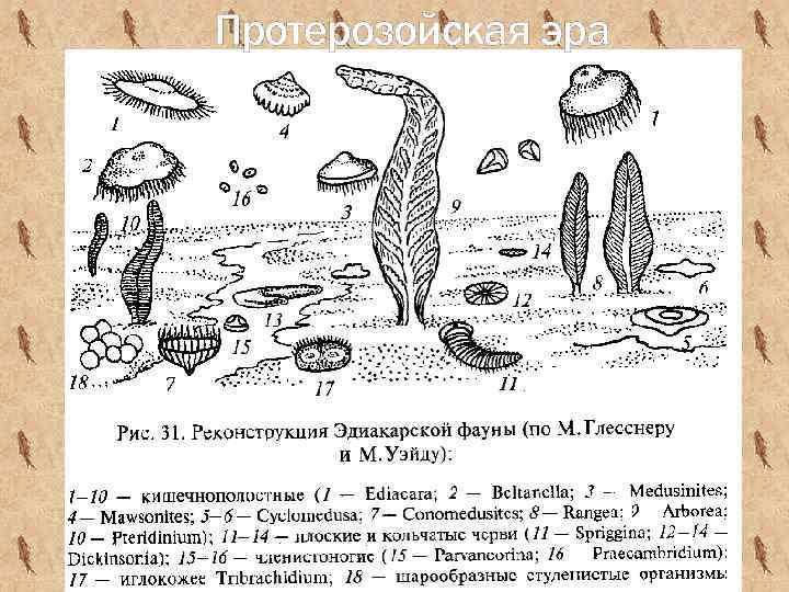 Протерозойская эра 