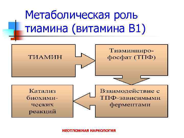 Метаболическая роль тиамина (витамина В 1) НЕОТЛОЖНАЯ НАРКОЛОГИЯ 