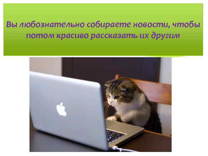 Вы любознательно собираете новости, чтобы потом красиво рассказать их другим 