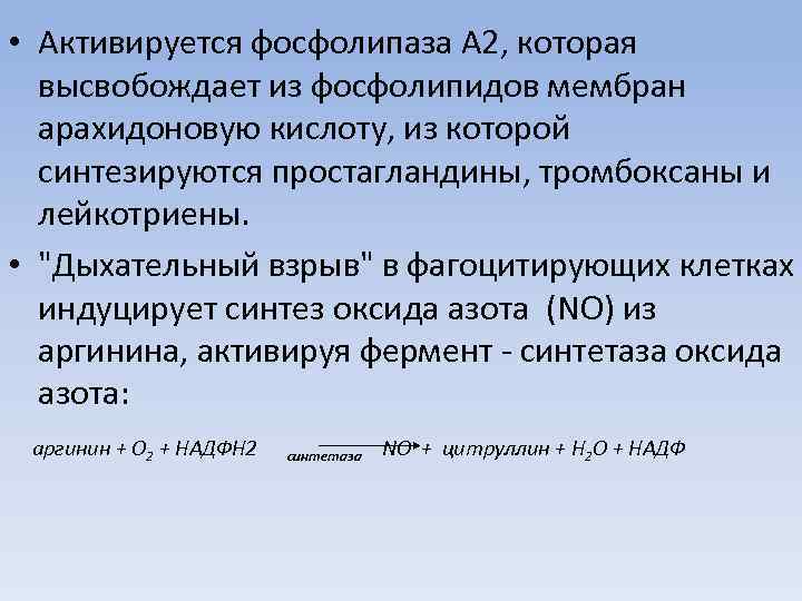  • Активируется фосфолипаза А 2, которая высвобождает из фосфолипидов мембран арахидоновую кислоту, из
