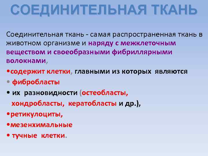 СОЕДИНИТЕЛЬНАЯ ТКАНЬ Соединительная ткань - самая распространенная ткань в животном организме и наряду с