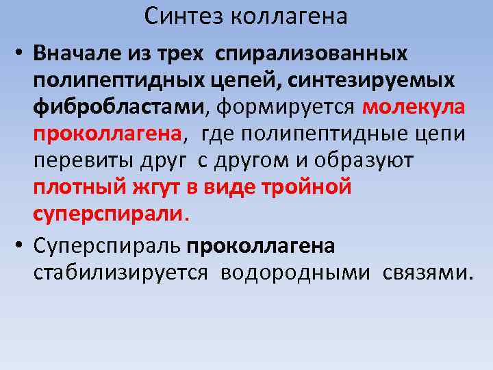 Синтез коллагена • Вначале из трех спирализованных полипептидных цепей, синтезируемых фибробластами, формируется молекула проколлагена,