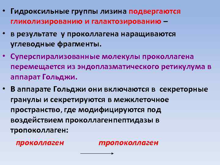  • Гидроксильные группы лизина подвергаются гликолизированию и галактозированию – • в результате у