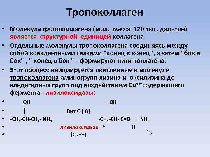 Тропоколлаген • Молекула тропоколлагена (мол. масса 120 тыс. дальтон) является структурной единицей коллагена •