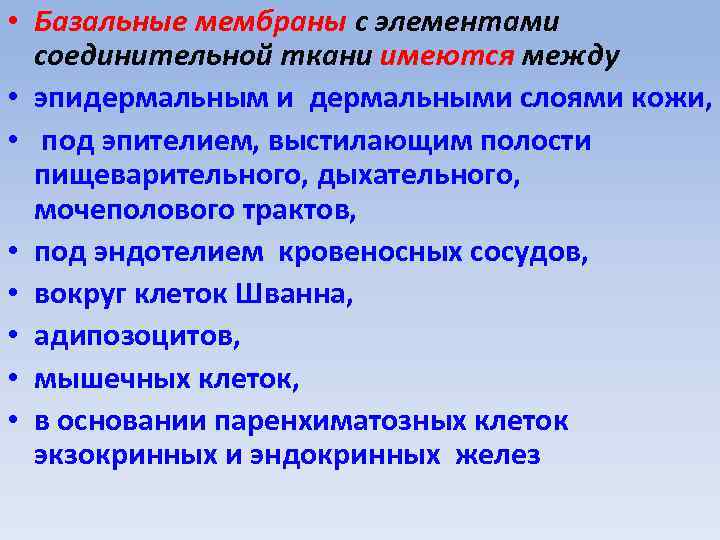  • Базальные мембраны с элементами соединительной ткани имеются между • эпидермальным и дермальными