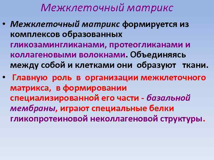 Межклеточный матрикс • Межклеточный матрикс формируется из комплексов образованных гликозамингликанами, протеогликанами и коллагеновыми волокнами.
