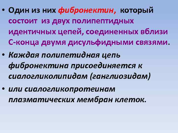  • Один из них фибронектин, который состоит из двух полипептидных идентичных цепей, соединенных