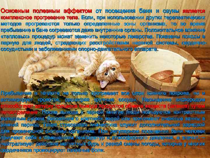 Основным полезным эффектом от посещения бани и сауны является комплексное прогревание тела. Если, при