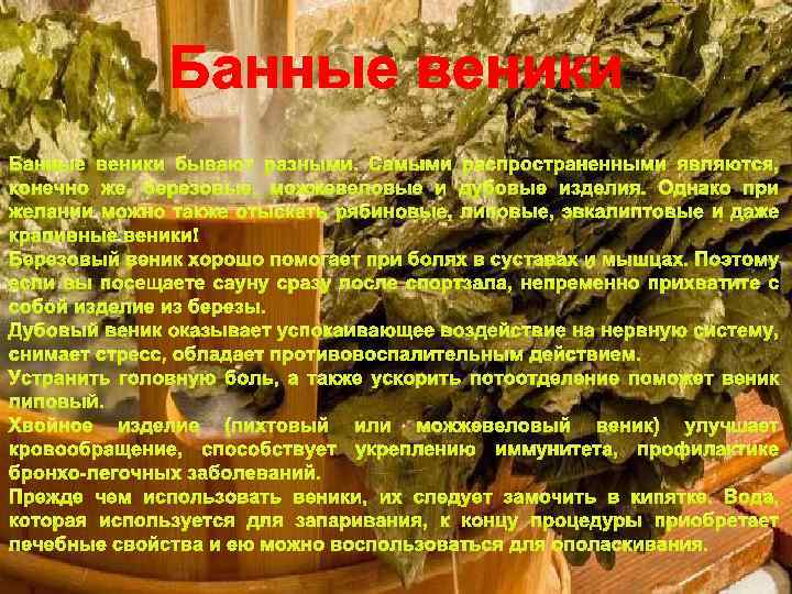 Банные веники бывают разными. Самыми распространенными являются, конечно же, березовые, можжевеловые и дубовые изделия.