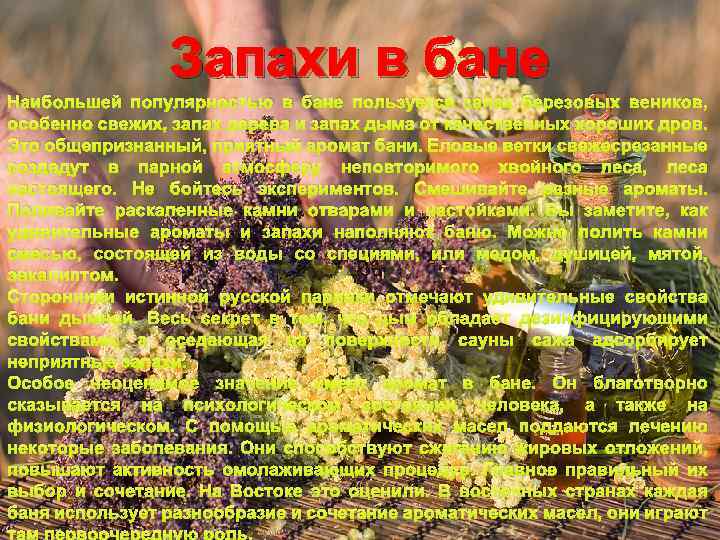 Запахи в бане Наибольшей популярностью в бане пользуется запах березовых веников, особенно свежих, запах