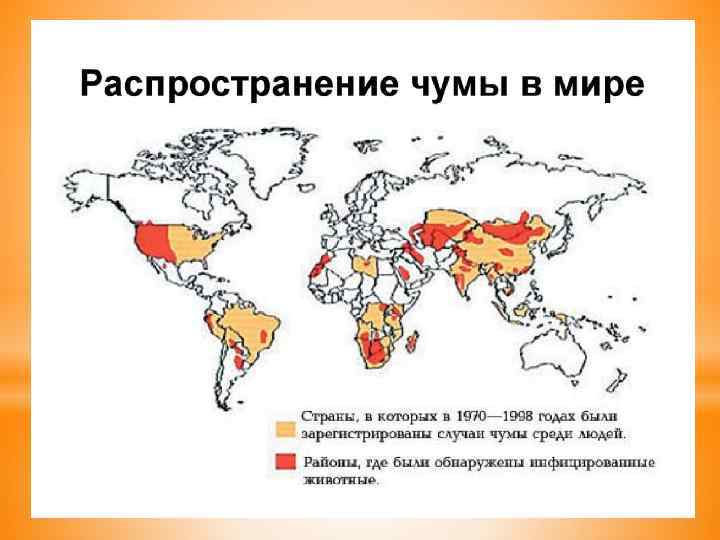 Описание человека карта смерть