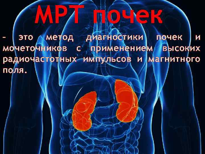 МРТ почек – это метод диагностики почек и мочеточников с применением высоких радиочастотных импульсов