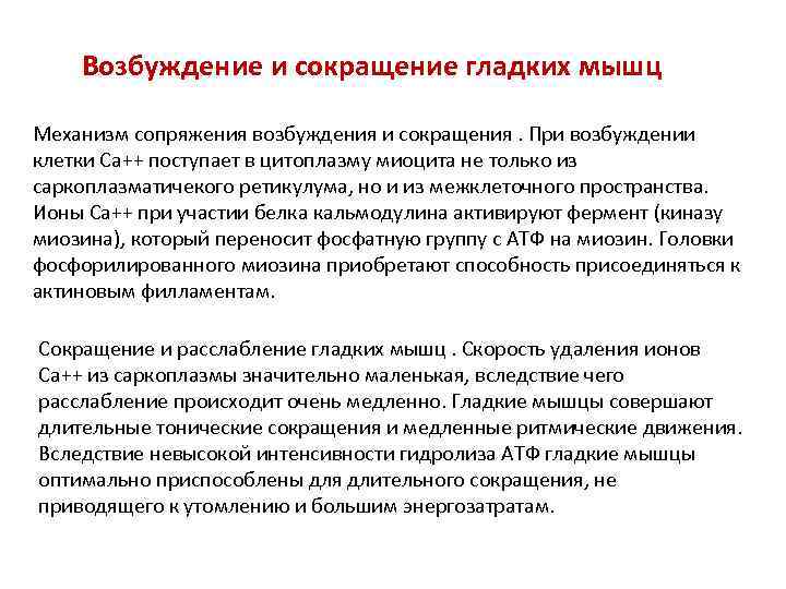 Возбуждение и сокращение гладких мышц Механизм сопряжения возбуждения и сокращения. При возбуждении клетки Cа++
