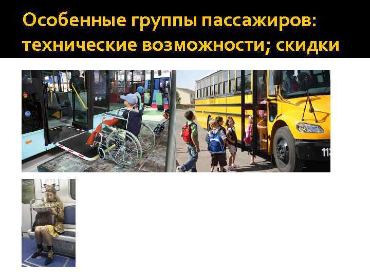 Особенные группы пассажиров: технические возможности; скидки 