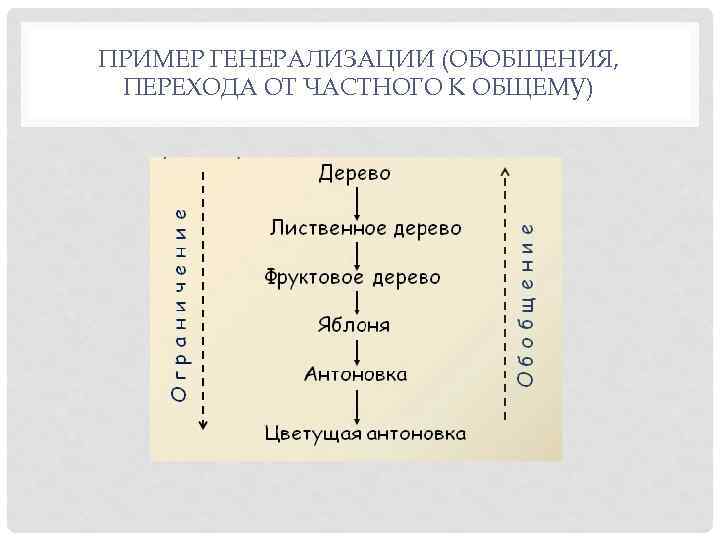 ПРИМЕР ГЕНЕРАЛИЗАЦИИ (ОБОБЩЕНИЯ, ПЕРЕХОДА ОТ ЧАСТНОГО К ОБЩЕМУ) 