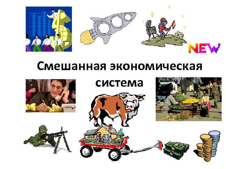 Смешанная экономическая система 
