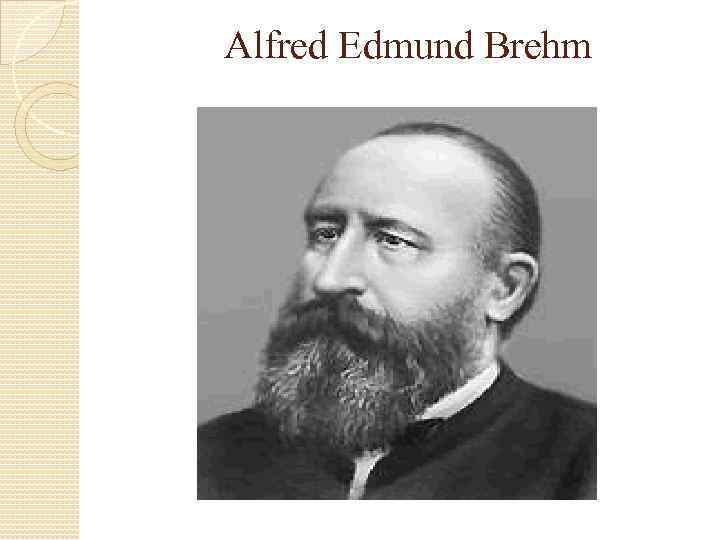 Alfred Edmund Brehm 