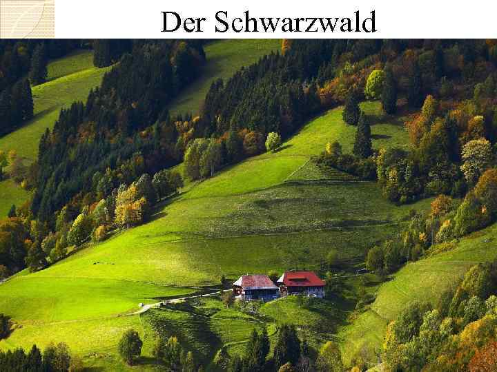 Der Schwarzwald 