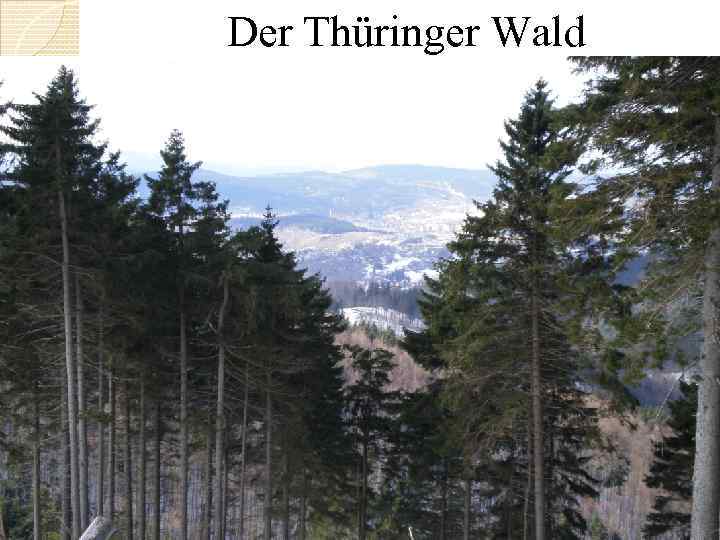 Der Thüringer Wald 
