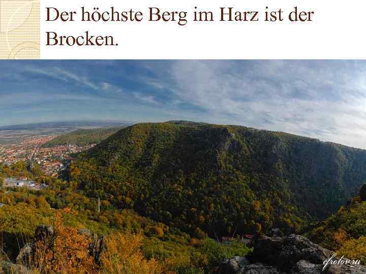 Der höchste Berg im Harz ist der Brocken. 