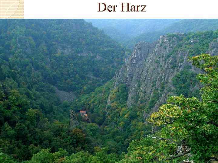 Der Harz 