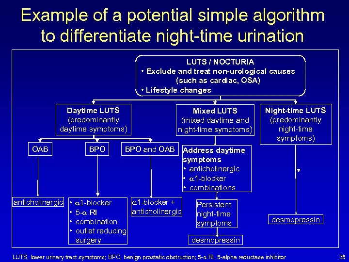 Example of a potential simple algorithm to differentiate night-time urination LUTS / NOCTURIA •