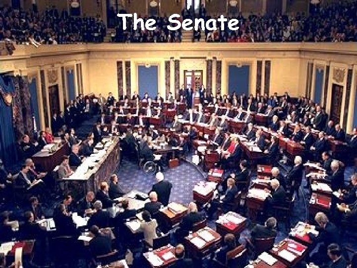 The Senate 