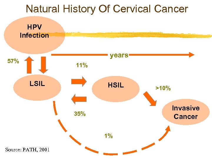 Natural History Of Cervical Cancer HPV Infection years 57% 11% LSIL HSIL Invasive Cancer