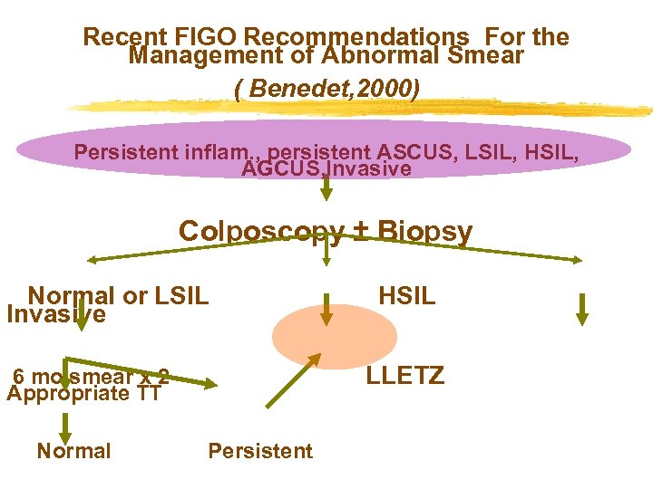 Recent FIGO Recommendations For the Management of Abnormal Smear ( Benedet, 2000) Persistent inflam.