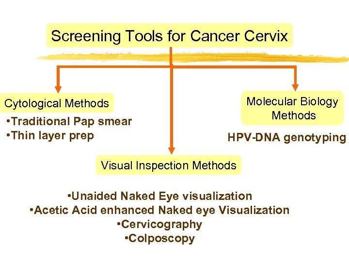 Screening Tools for Cancer Cervix Molecular Biology Methods Cytological Methods • Traditional Pap smear